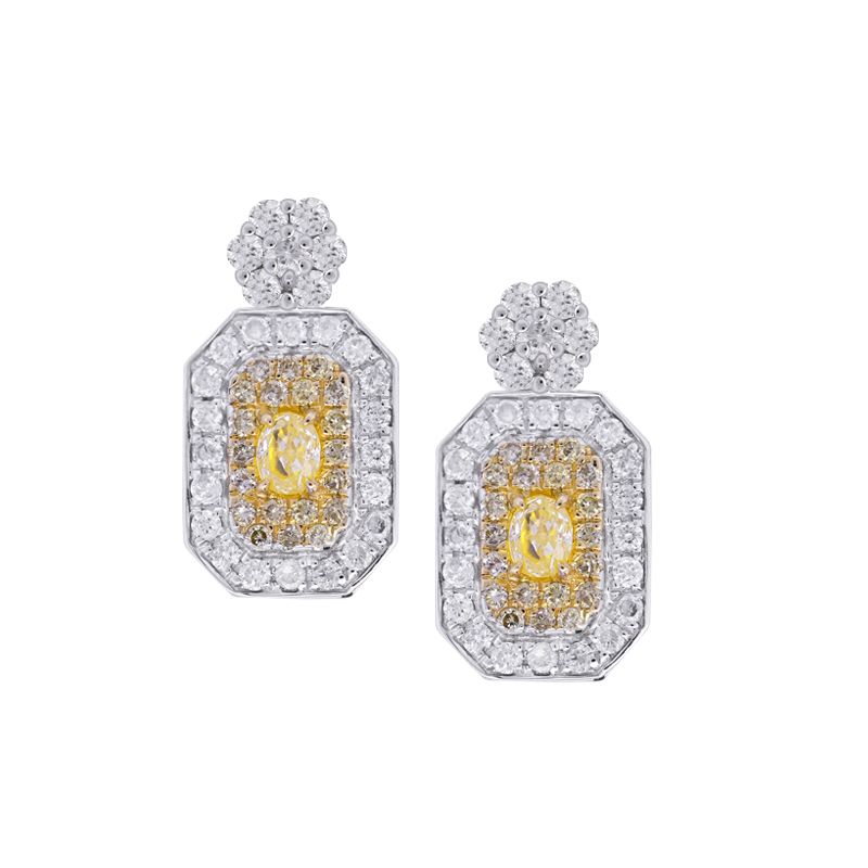 Arusha Fancy Diamond Earrings